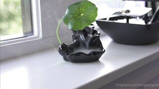 玩偶姐姐 - 剧情集「她的秘密 壹」